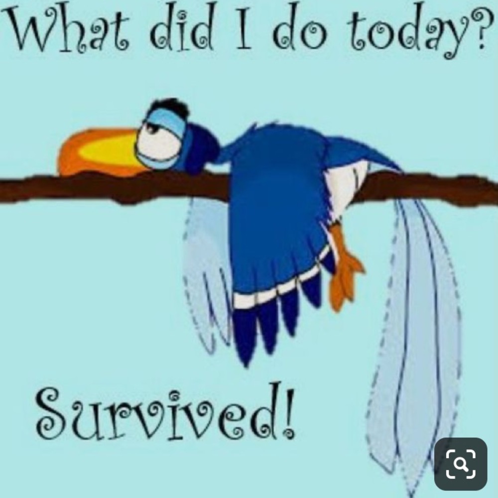 Meet your Posher, Krystale